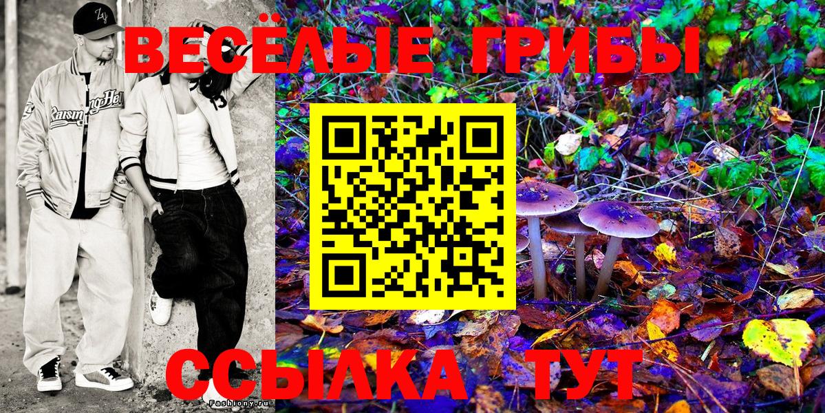 Мелеуз  Галлюциногенные грибы MAGIC MUSHROOMS  где можно купить наркотик  Псилоцибиновые грибы мицелий  Вход с VPN 